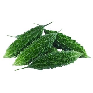 Atish Bitter Gourd From Known You Seed (India)-KYI